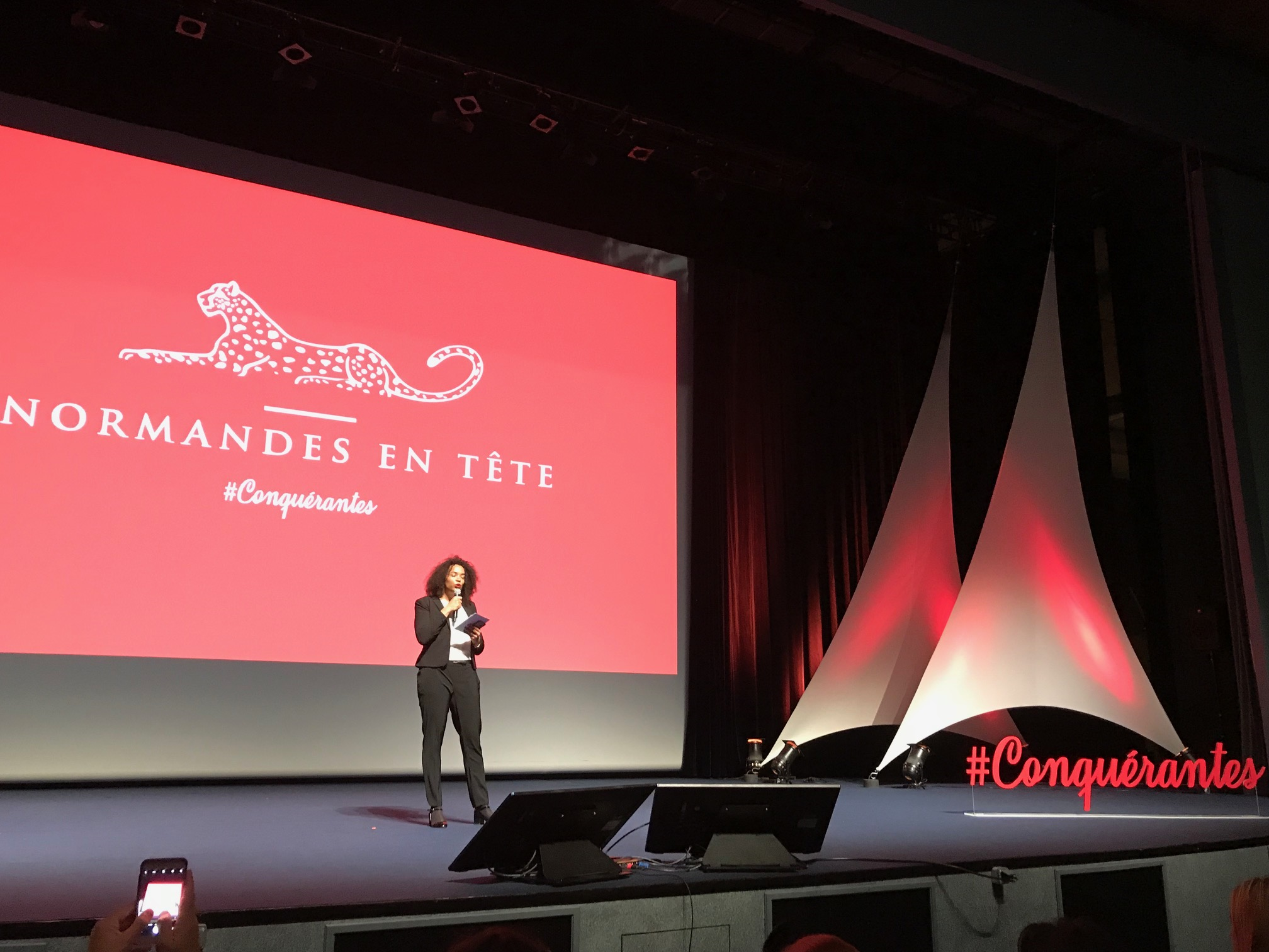 image à la une NORMANDES EN TÊTE : 13 réseaux de femmes actives en Normandie se rencontrent