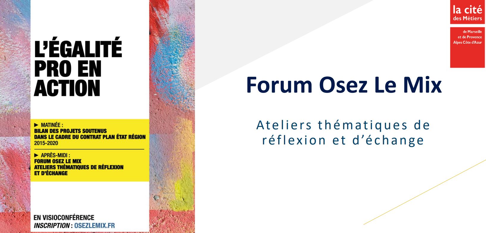 image à la une EGALITE PRO EN PACA: Les Réseaux Professionnels pour le leadership feminin  ?