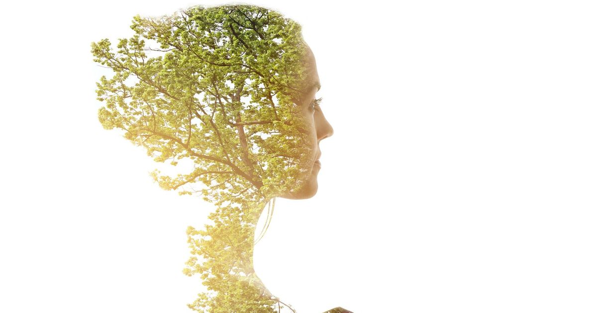 image à la une Femmes, environnement, engagement : l’écoféminisme en question